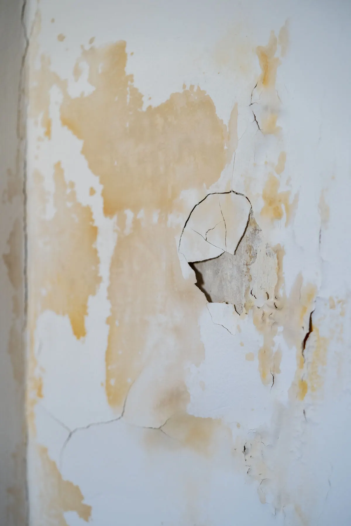 Pared con la pintura desconchada y manchas de una fuga de agua